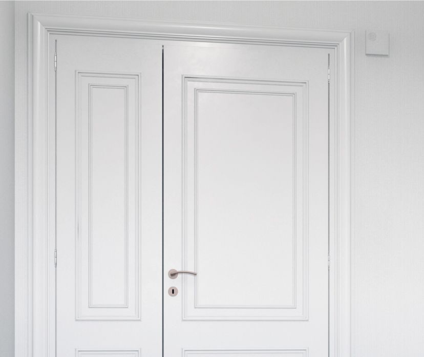 DoorBird IP Türgong A1061W weiß