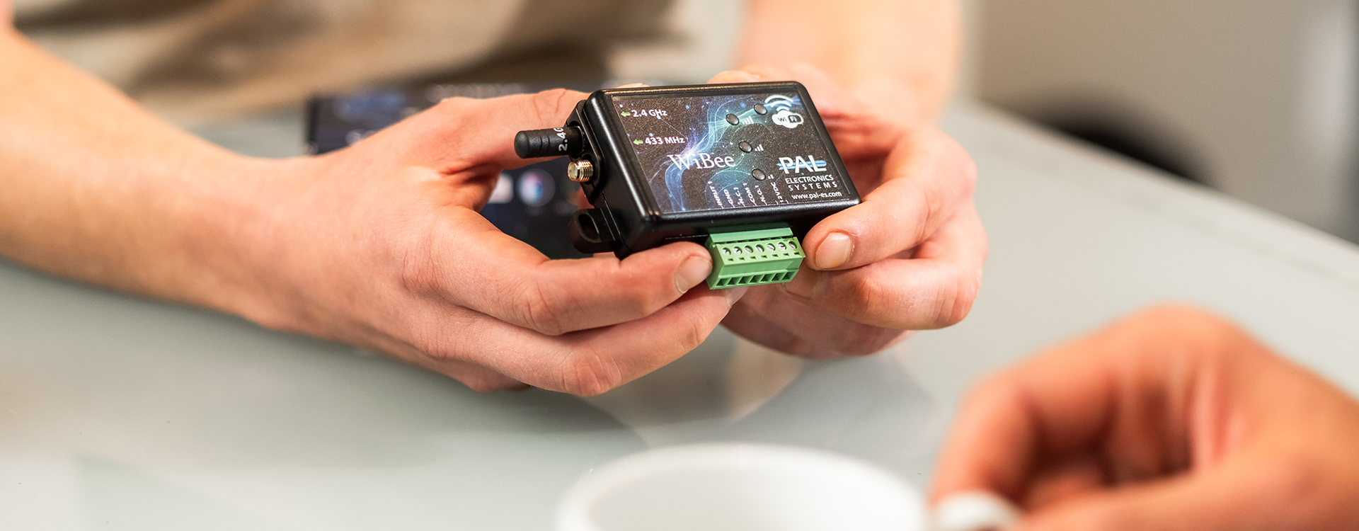 PAL Electronics Systems